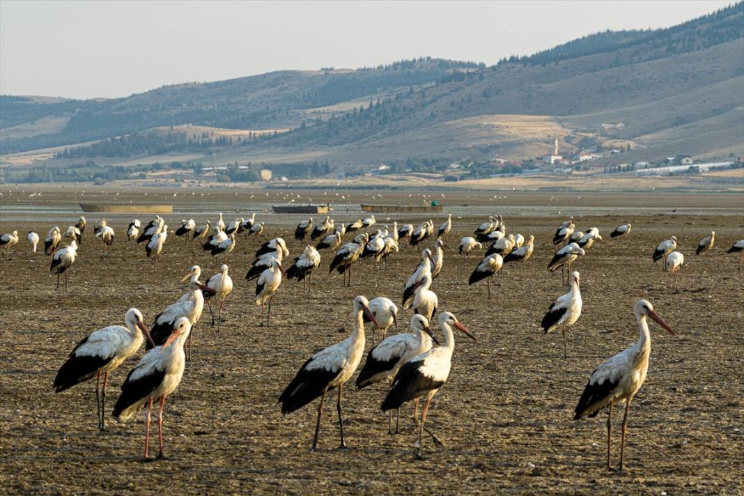 Gurbetçiler göç yolunda! Molayı Konya'da verdiler 8